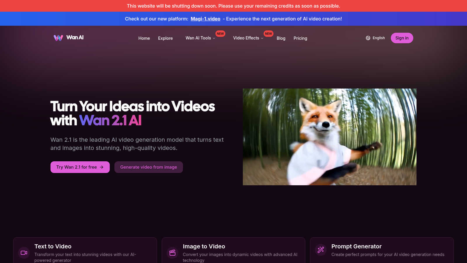 Wan AI application interface and features