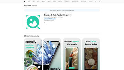 Picture & Ask: Pocket Expert - Vintage computing tool for Coaching