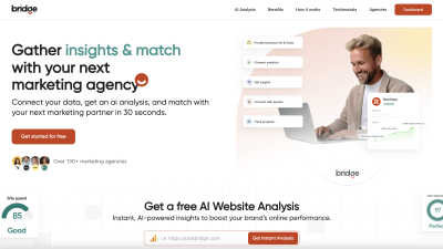 Bridge - AI tool for Marketing