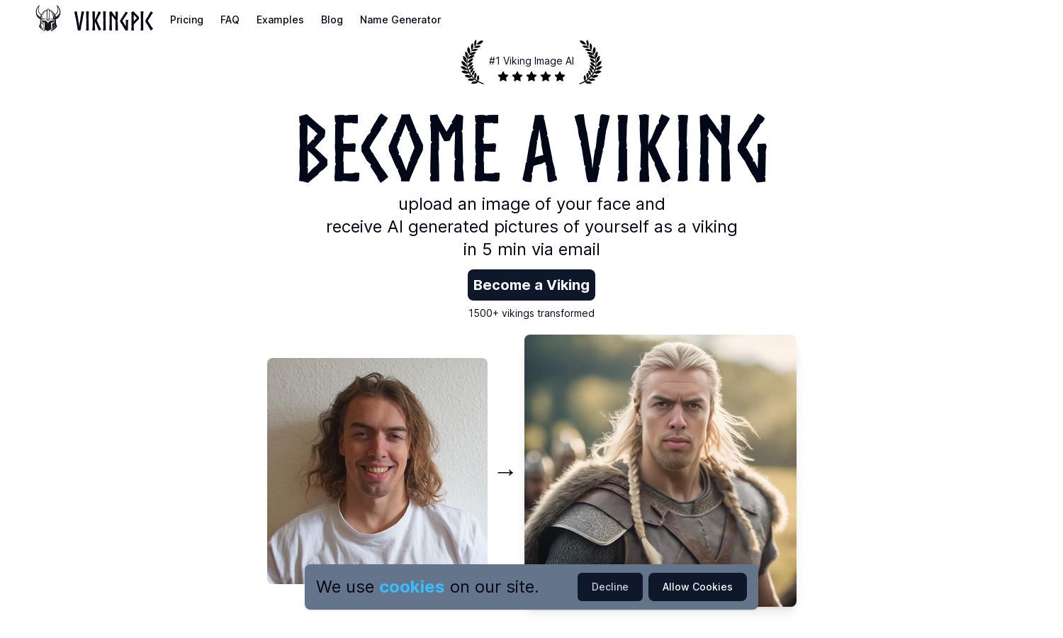 VikingPic Website